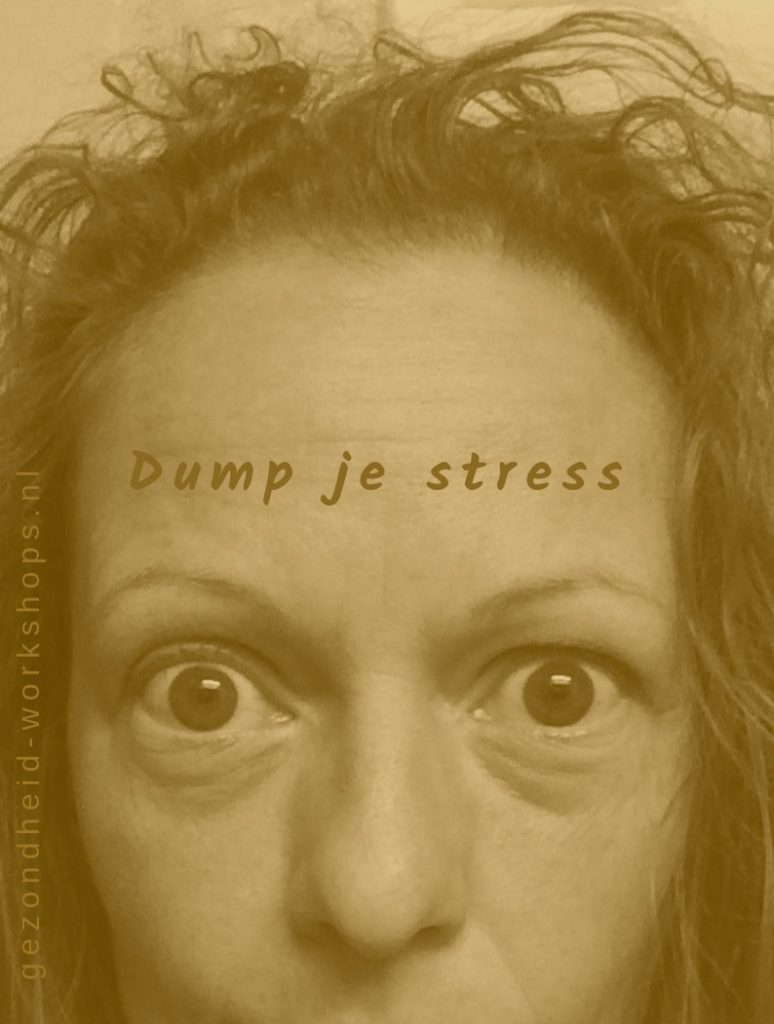 DUMP JE STRESS.gezondheid-workshops. burnout symptomen, stress, hoofdpijn, vermoeidheid, overspannen, onstpannen.Jeanine Theunissen. stress op kantoor, vitaliteit op de werkvloer, ontspannen op je werk