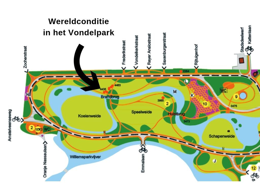 Wereldconditie in het Vondelpark, gezondheid-workshops.nl