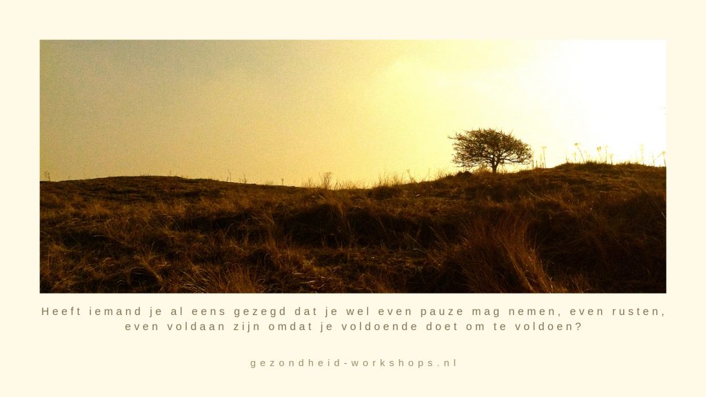 Stress, burnout symptomen, burn out klachten, Stress EHBO, EnerQi Flow, gezondheid, chronische vermoeidheid, Jeanine Theunissen, gezondheid-workshops.nl